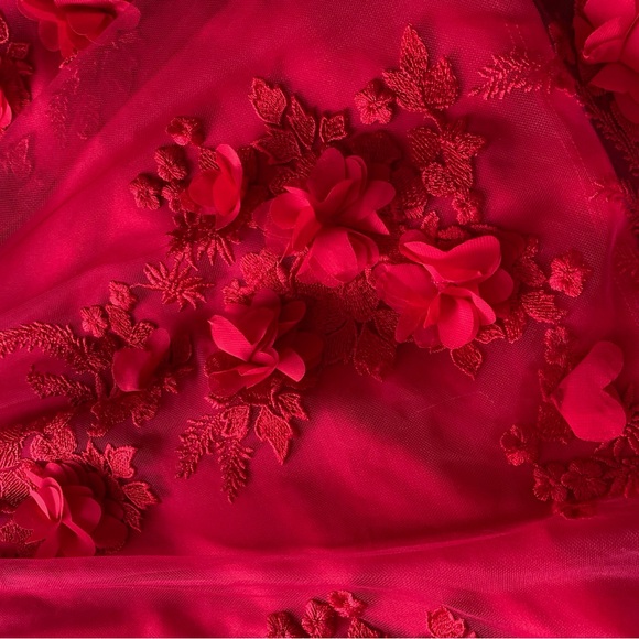 Fancy Party Dress with Velvet Bow and Roses - Picture 3 of 5